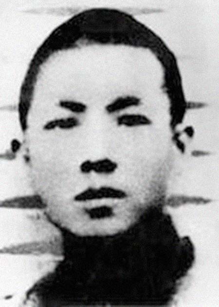 ����������͸���������Ƭ