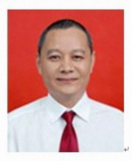 ����������͸���������Ƭ