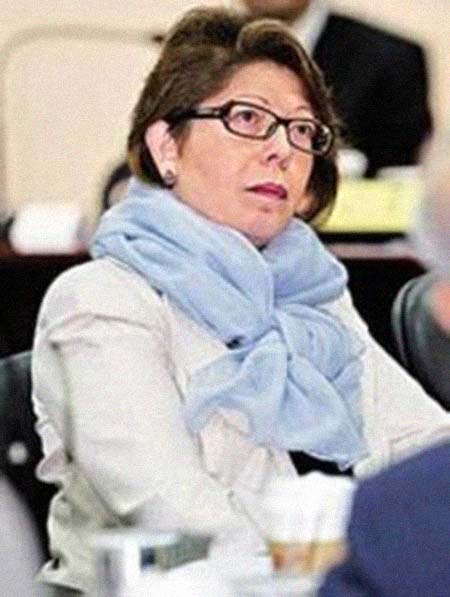 ����÷�����͸���������Ƭ