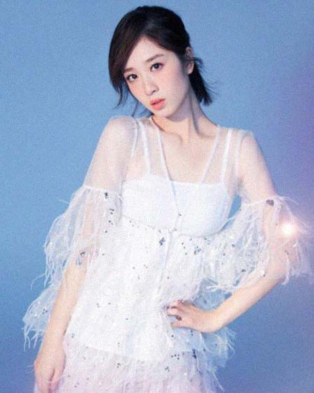 ���������Ա�������͸���������Ƭ