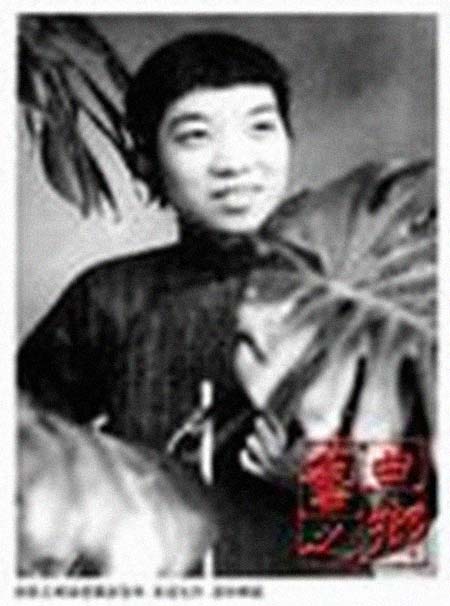 �����ϼ����͸���������Ƭ