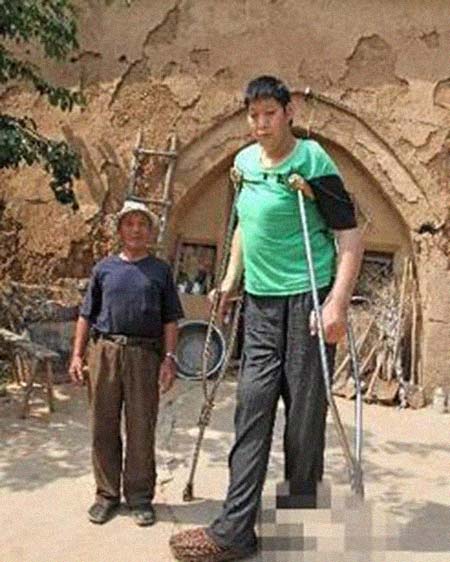 ����������͸���������Ƭ