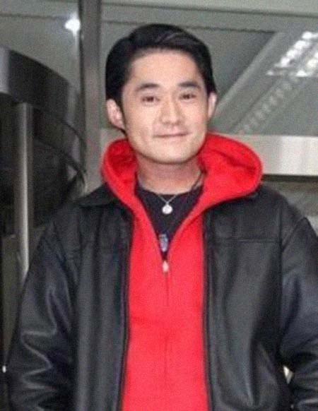 �����������͸���������Ƭ