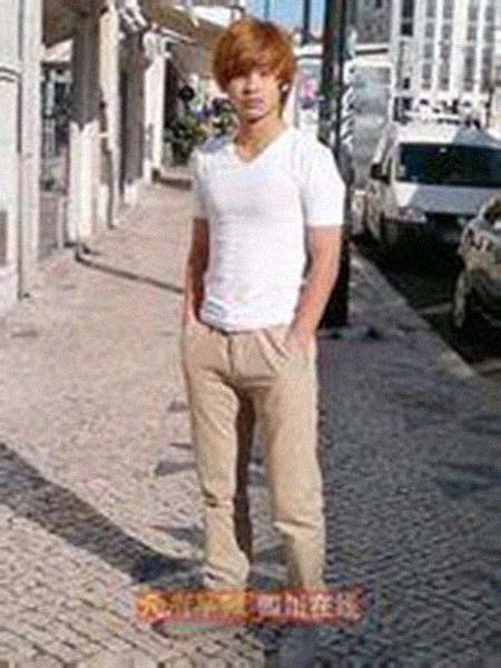 �����Ӽ����͸���������Ƭ