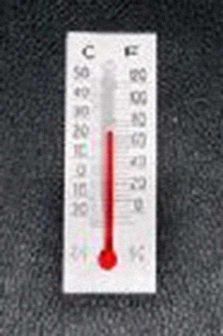 ���׺��ؼ����͸���������Ƭ