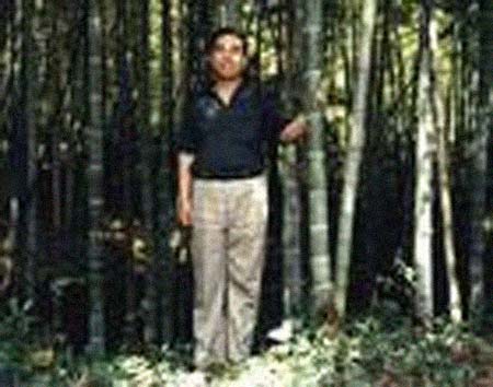 ���񿭼����͸���������Ƭ