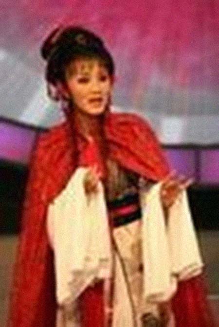 ����������͸���������Ƭ