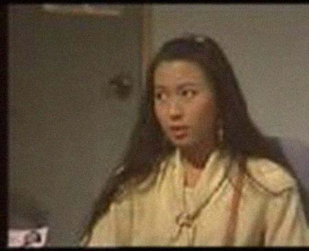 ����������͸���������Ƭ