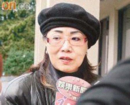 �����������͸���������Ƭ