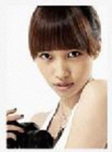 ���������͸���������Ƭ