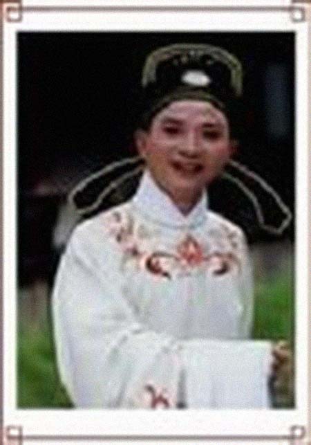 ��ɺ�����͸���������Ƭ