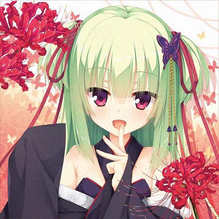 ��������͸���������Ƭ