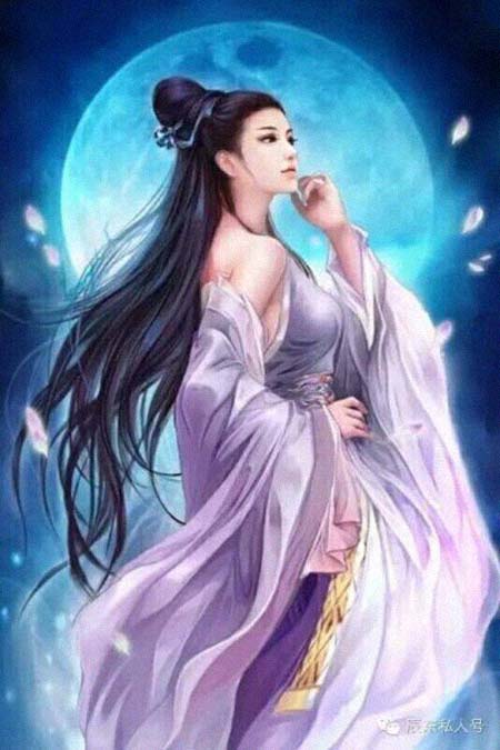 ��濼����͸���������Ƭ