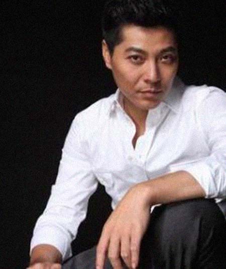 ����������͸���������Ƭ