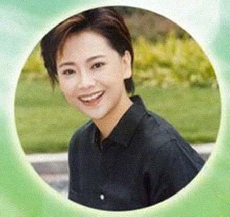 �����������͸���������Ƭ