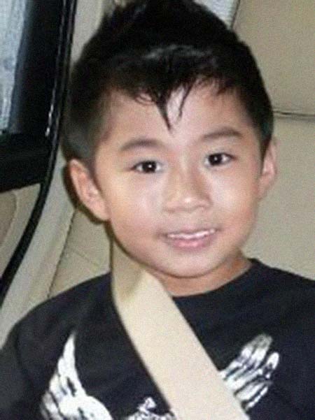 ����������͸���������Ƭ