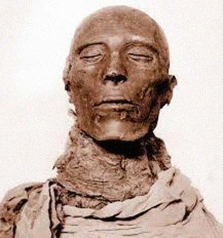 ������˹һ�������͸���������Ƭ