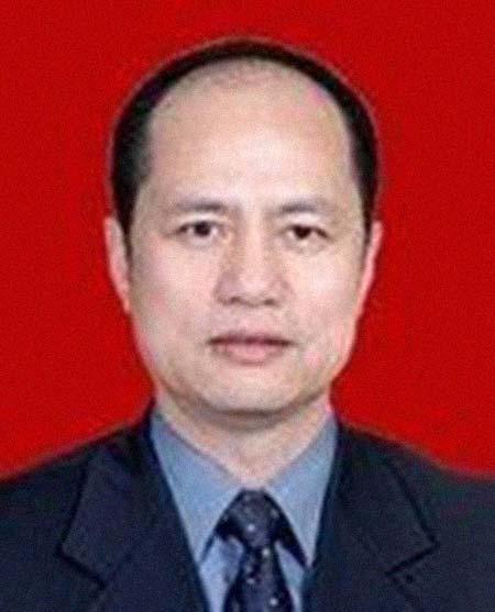 ���������͸���������Ƭ