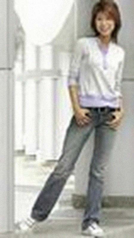 ����������͸���������Ƭ