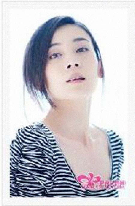 �����������͸���������Ƭ