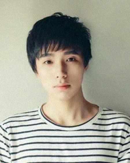 ����������͸���������Ƭ