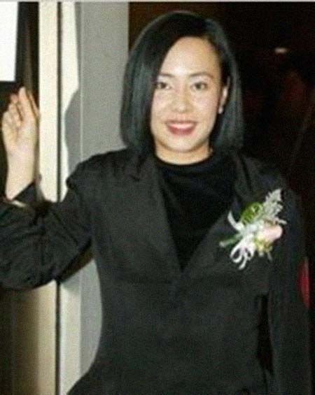 �����������͸���������Ƭ