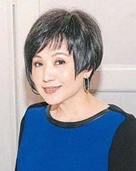 �����������͸���������Ƭ