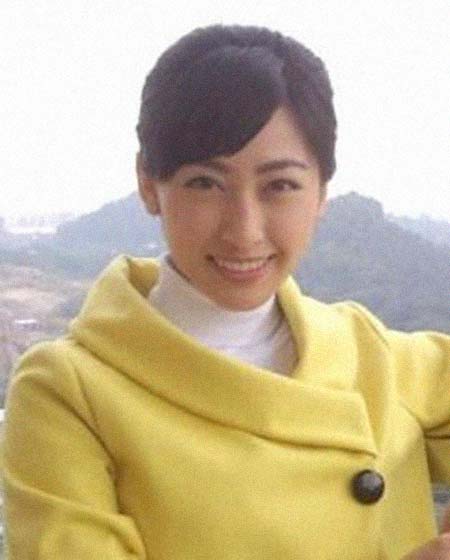 ���������������͸���������Ƭ