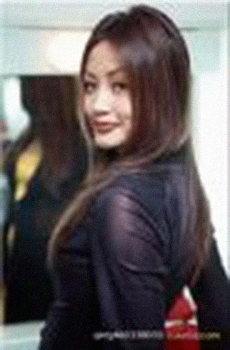 ���������͸���������Ƭ