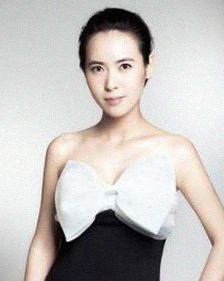 ���������͸���������Ƭ