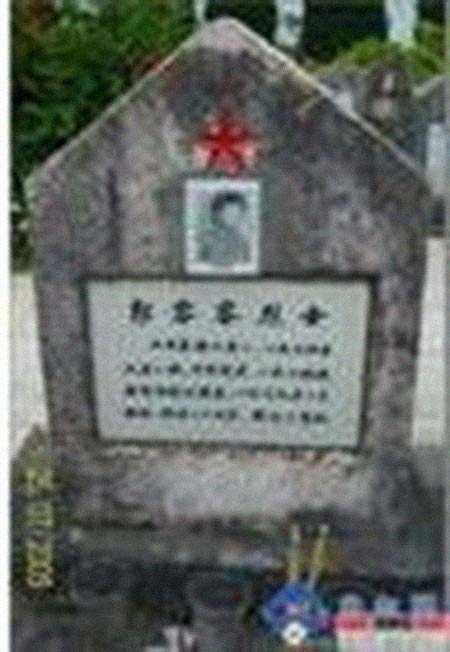 �����ؼ����͸���������Ƭ